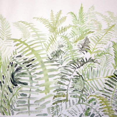 watercolor watercolour painting USA ferns western maine
